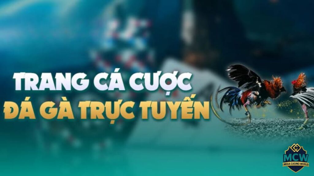 Cá cược đá gà trực tiếp - Mẹo chơi hay, thắng lớn mỗi ngày