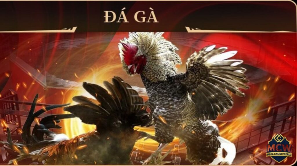 Ưu điểm nổi bật của SV388