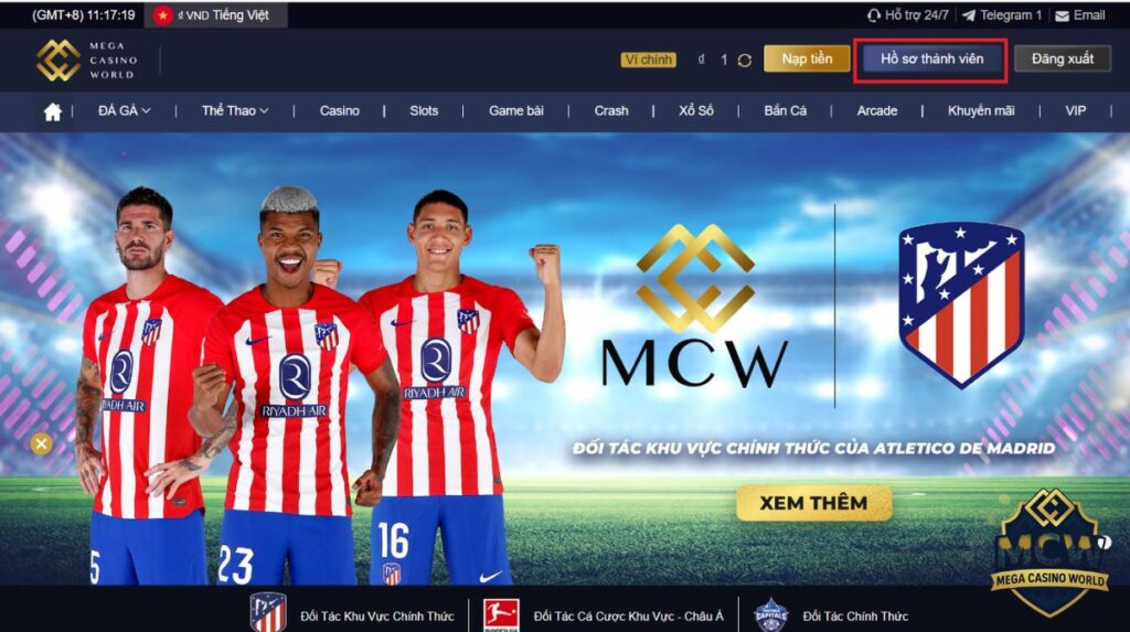 MCW là gì và tại sao nên hợp tác?