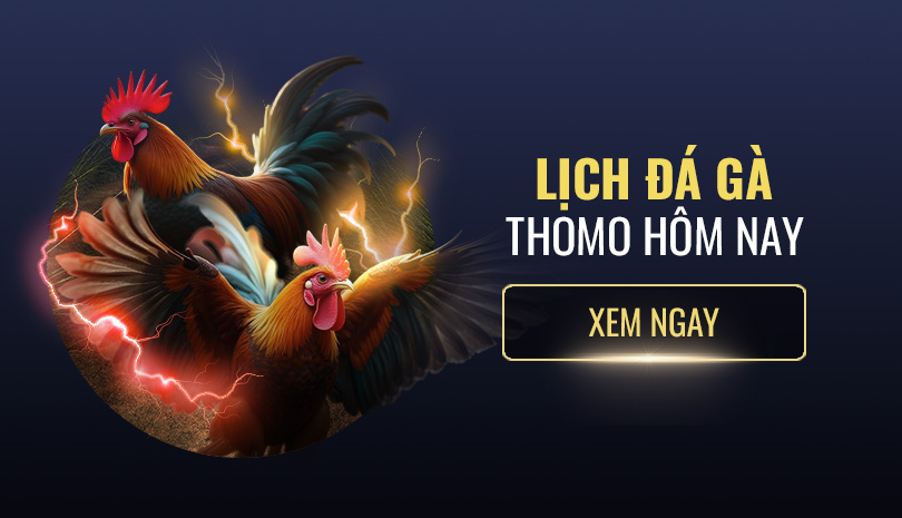 Lịch Đá Gà Thomo Hôm Nay